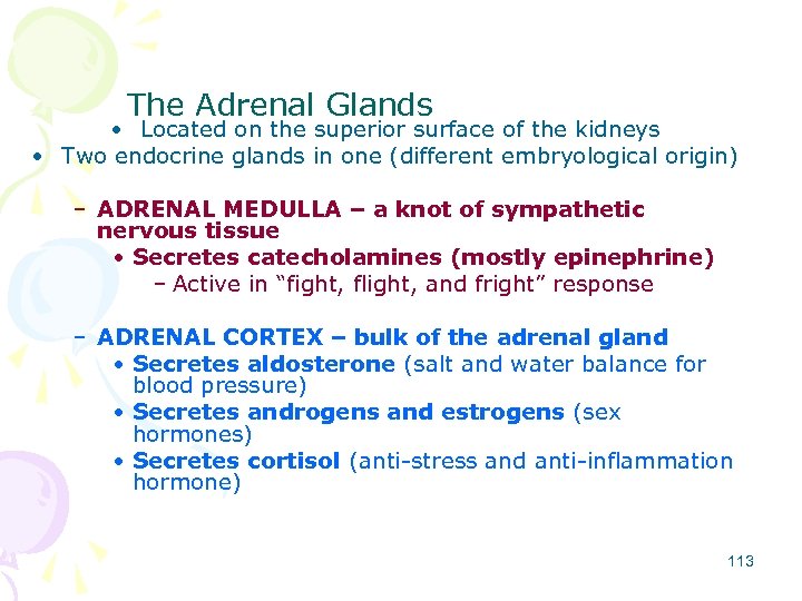 The Adrenal Glands • Located on the superior surface of the kidneys • Two