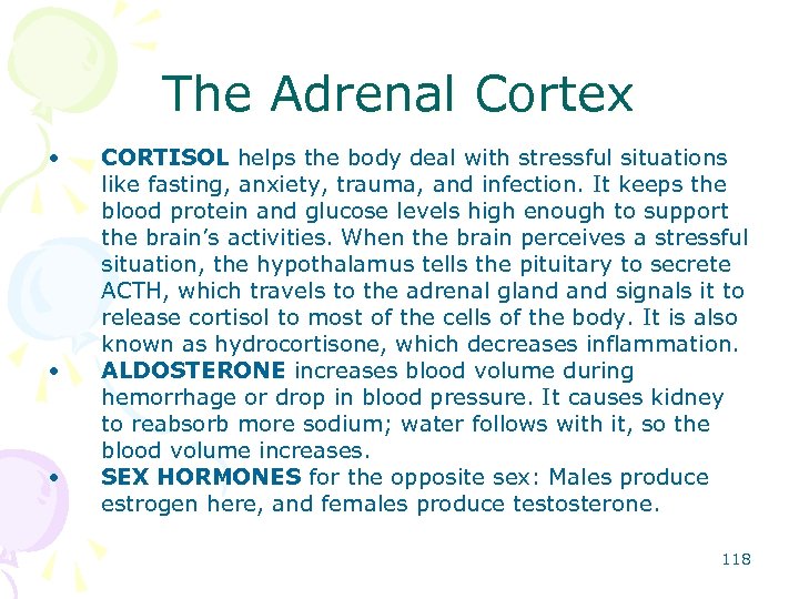 The Adrenal Cortex • • • CORTISOL helps the body deal with stressful situations