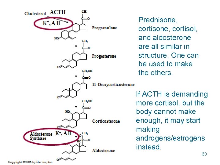 Prednisone, cortisol, and aldosterone are all similar in structure. One can be used to