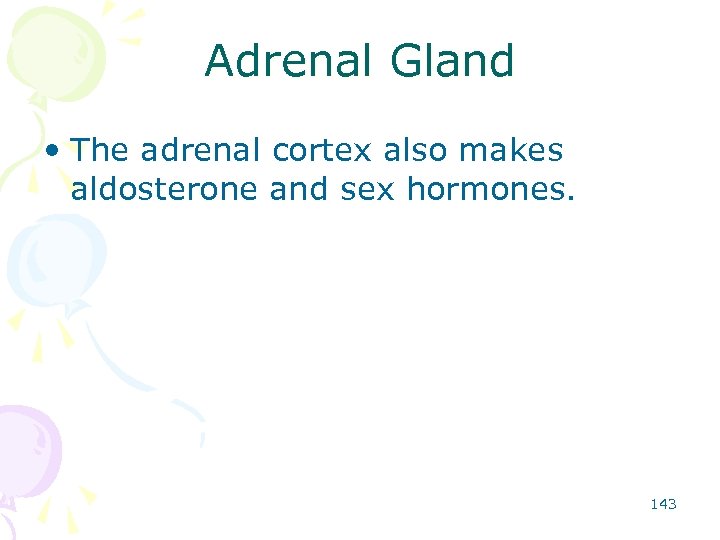 Adrenal Gland • The adrenal cortex also makes aldosterone and sex hormones. 143 