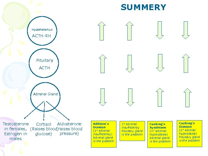 SUMMERY Hypothalamus ACTH-RH Pituitary ACTH Adrenal Gland Testosterone Cortisol Aldosterone (raises blood in females,