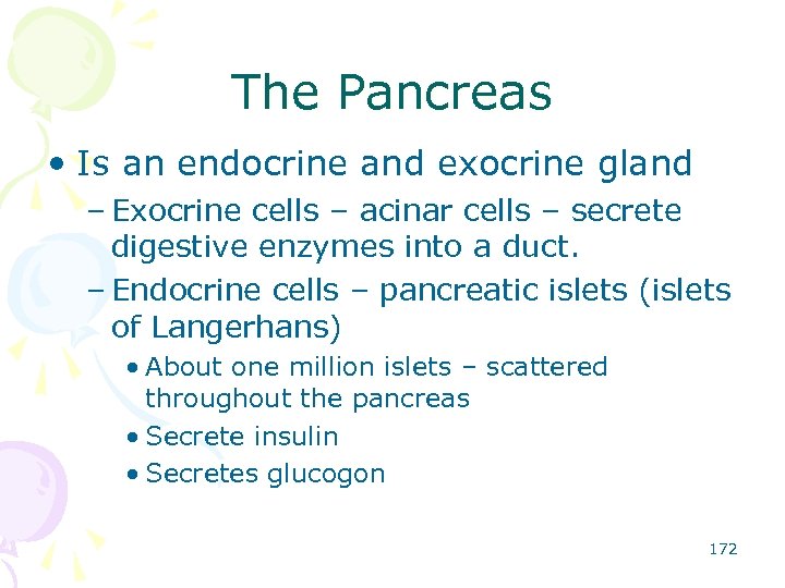 The Pancreas • Is an endocrine and exocrine gland – Exocrine cells – acinar