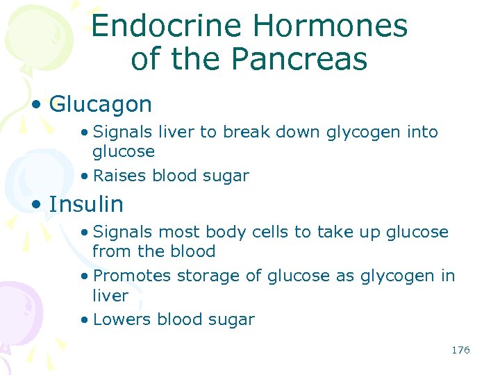 Endocrine Hormones of the Pancreas • Glucagon • Signals liver to break down glycogen