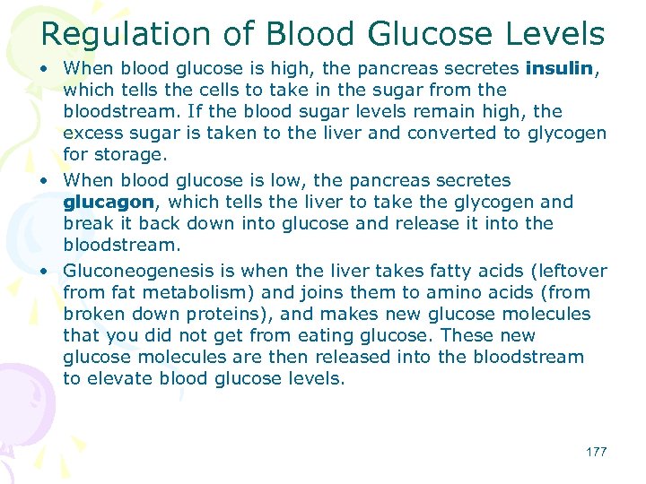 Regulation of Blood Glucose Levels • When blood glucose is high, the pancreas secretes