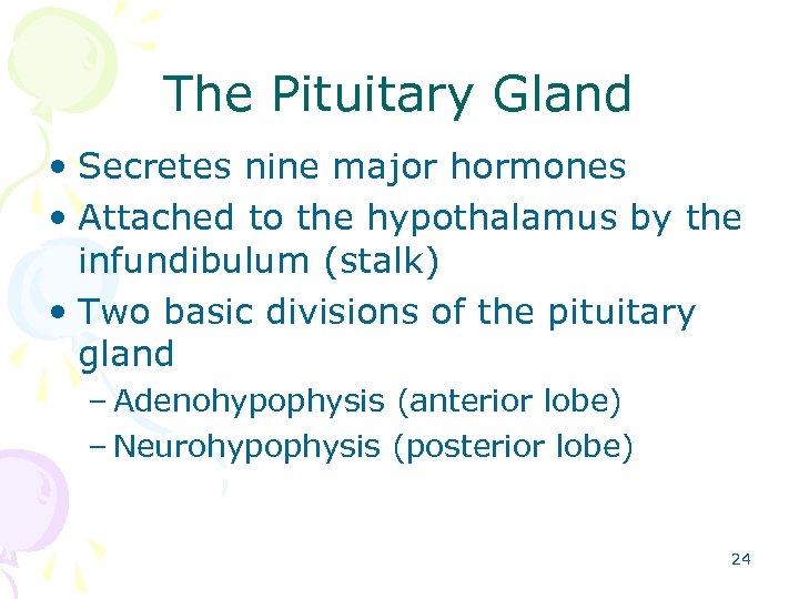 The Pituitary Gland • Secretes nine major hormones • Attached to the hypothalamus by