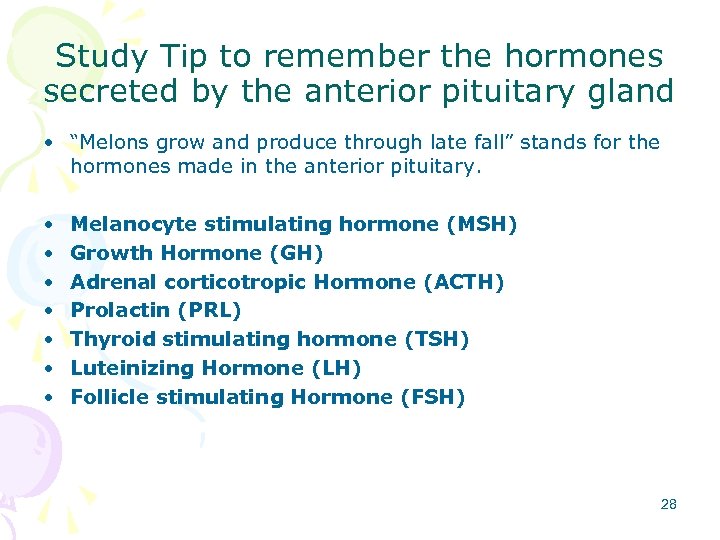 Study Tip to remember the hormones secreted by the anterior pituitary gland • “Melons