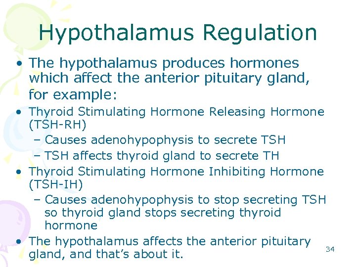 Hypothalamus Regulation • The hypothalamus produces hormones which affect the anterior pituitary gland, for