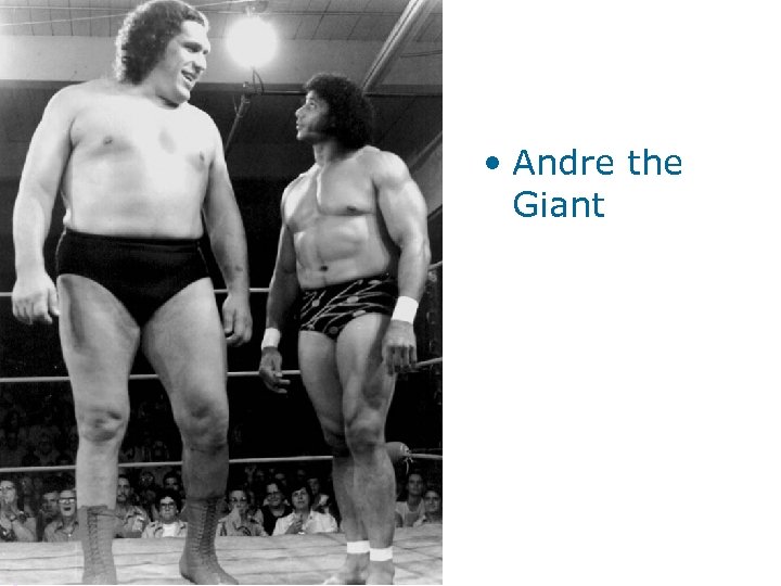  • Andre the Giant 