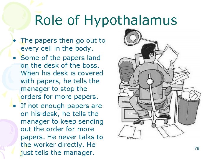 Role of Hypothalamus • The papers then go out to every cell in the