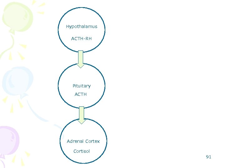 Hypothalamus ACTH-RH Pituitary ACTH Adrenal Cortex Cortisol 91 