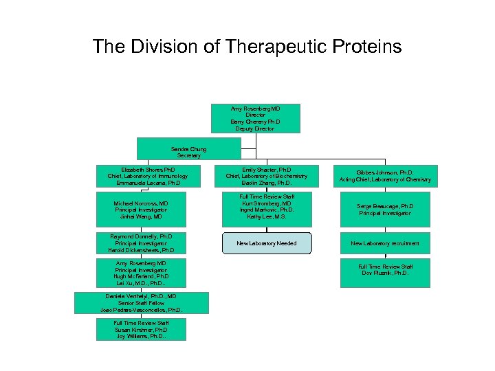The Division of Therapeutic Proteins Amy Rosenberg MD Director Barry Chereny Ph. D Deputy