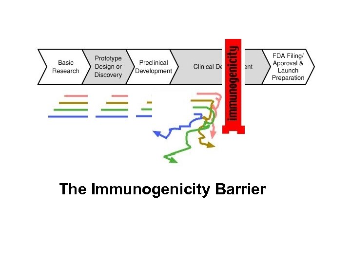 The Immunogenicity Barrier 
