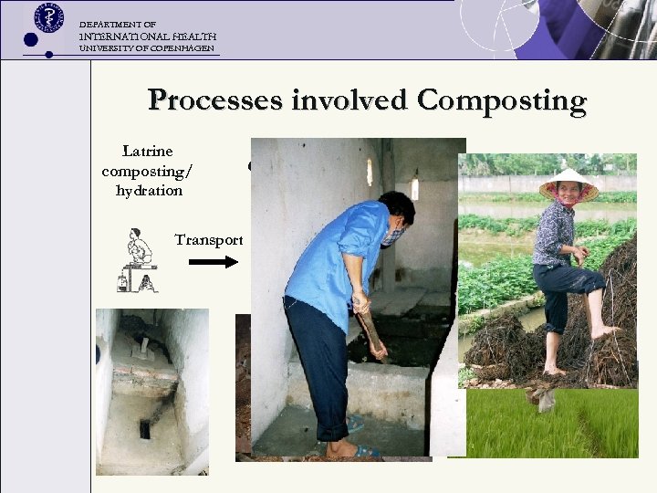DEPARTMENT OF INTERNATIONAL HEALTH UNIVERSITY OF COPENHAGEN Processes involved Composting Latrine composting/ hydration Transport