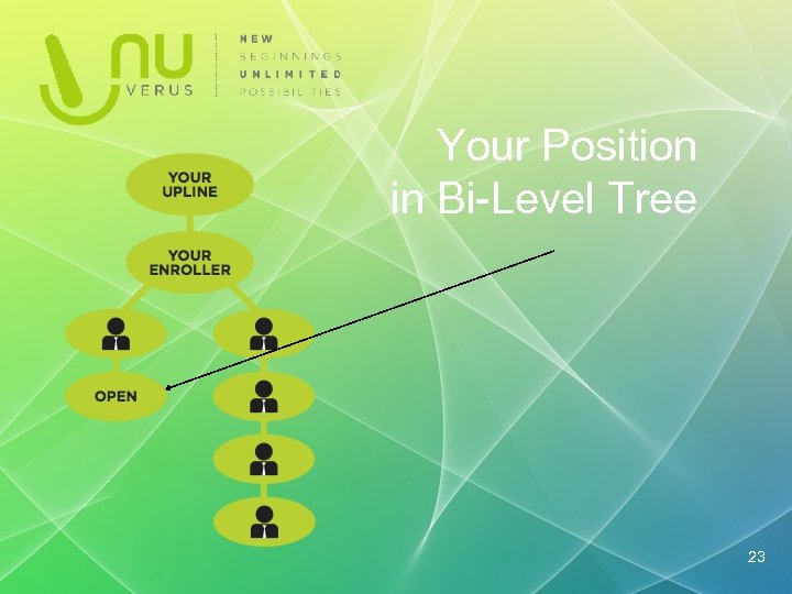 Your Position in Bi-Level Tree 23 