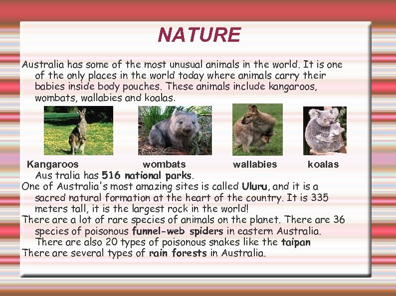 NATURE Australia has some of the most unusual animals in the world. It is