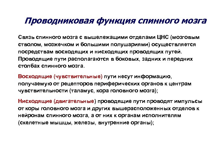 Проводниковая функция спинного мозга Связь спинного мозга с вышележащими отделами ЦНС (мозговым стволом, мозжечком