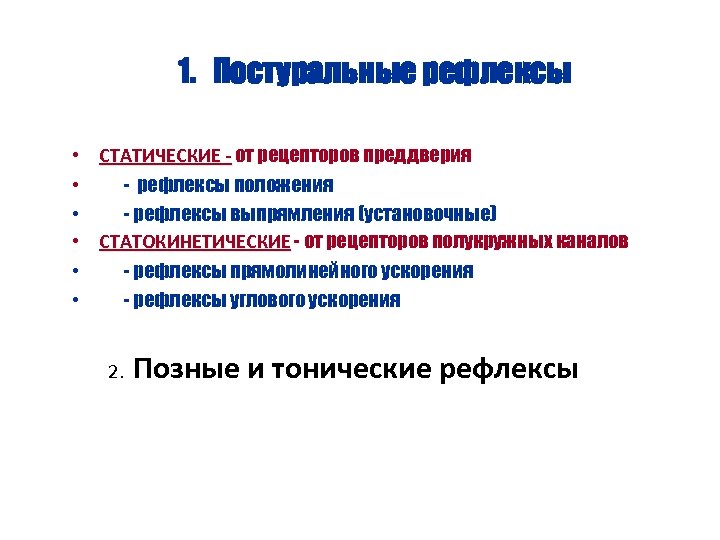 1. Постуральные рефлексы • СТАТИЧЕСКИЕ - от рецепторов преддверия • - рефлексы положения •