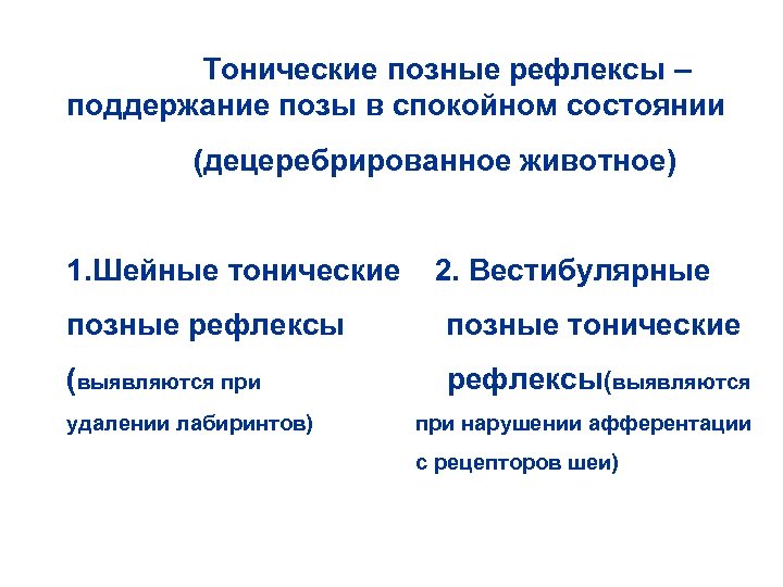 Тонические позные рефлексы – поддержание позы в спокойном состоянии (децеребрированное животное) 1. Шейные тонические