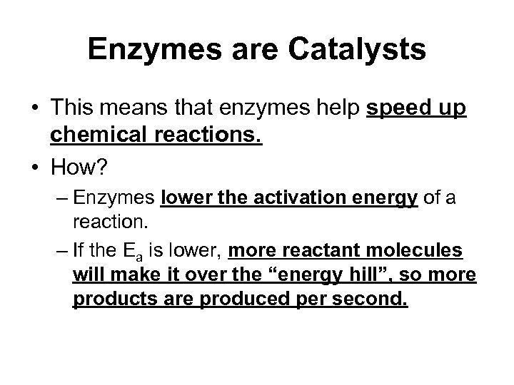 Enzyme Structure and Function Protein catalysts Enzymes