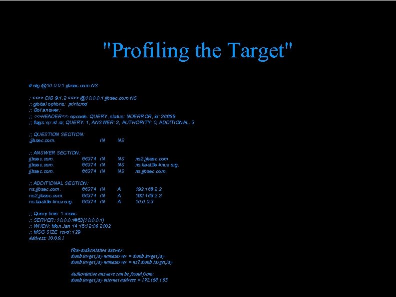 "Profiling the Target" # dig @10. 0. 0. 1 jjbsec. com NS ; <<>>