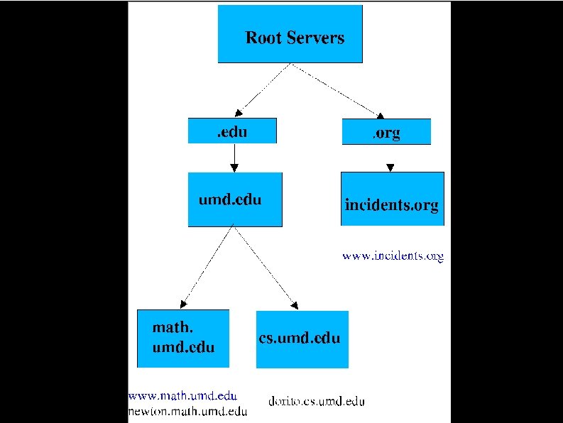 What Does DNS Do? 