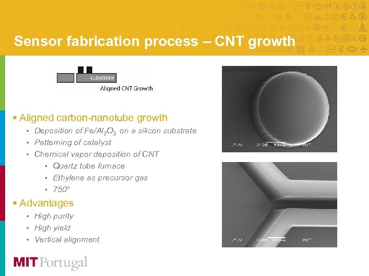 Sensor fabrication process – CNT growth § Aligned carbon-nanotube growth • Deposition of Fe/Al