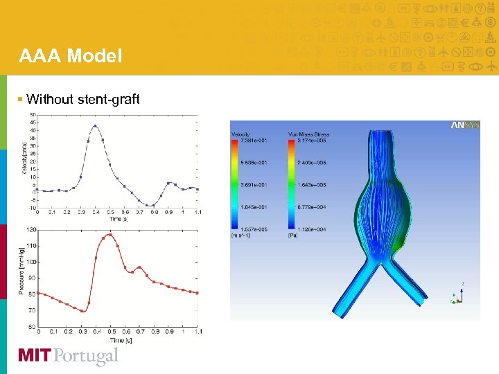AAA Model § Without stent-graft 