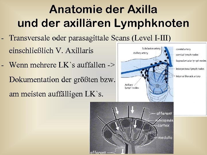 Anatomie der Axilla und der axillären Lymphknoten - Transversale oder parasagittale Scans (Level I-III)