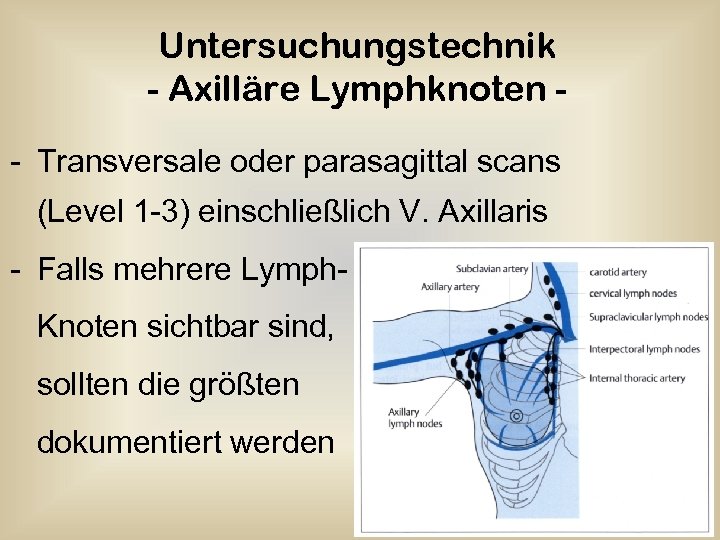 Untersuchungstechnik - Axilläre Lymphknoten - Transversale oder parasagittal scans (Level 1 -3) einschließlich V.