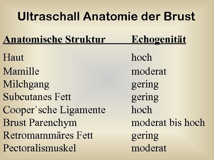 Ultraschall Anatomie der Brust Anatomische Struktur Echogenität Haut Mamille Milchgang Subcutanes Fett Cooper`sche Ligamente