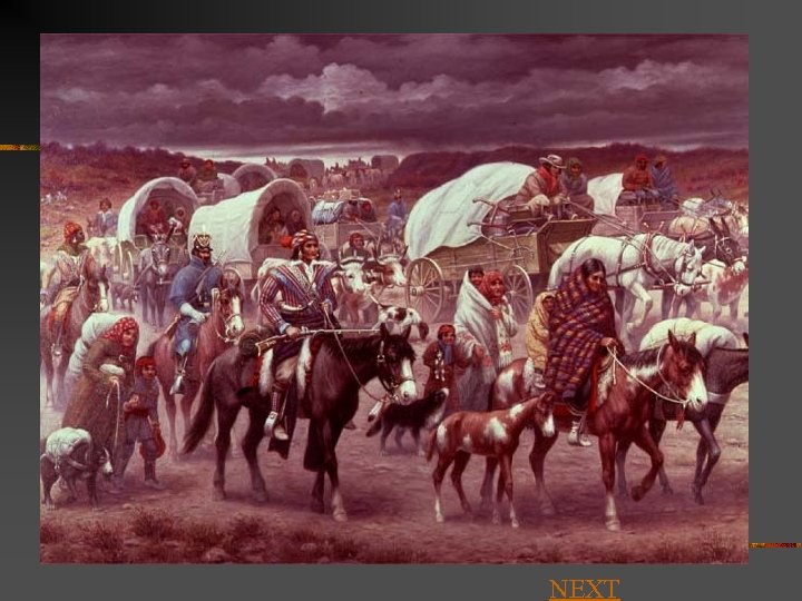Trail of Tears NEXT 