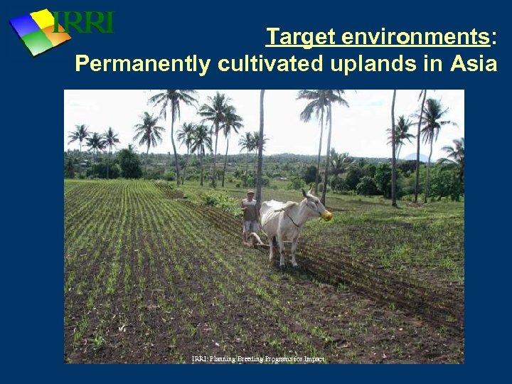 Target environments: Permanently cultivated uplands in Asia IRRI: Planning Breeding Programs for Impact 