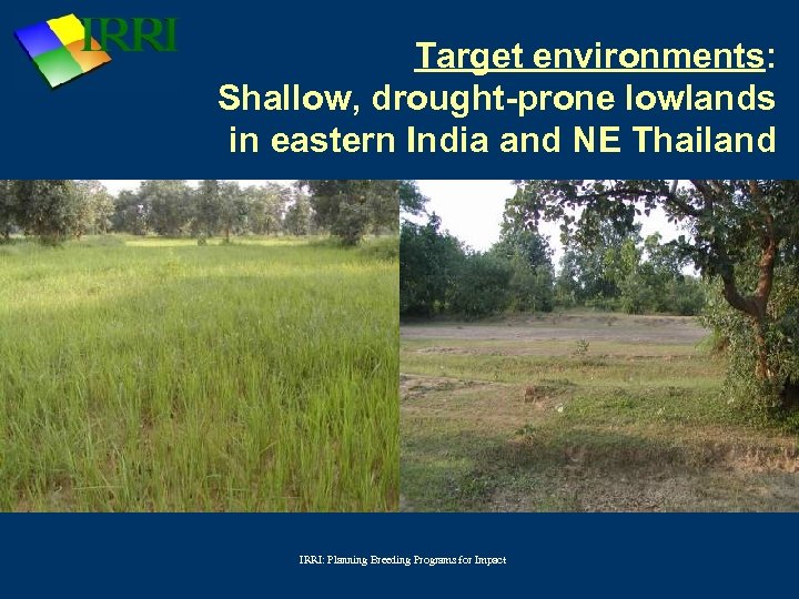 Target environments: Shallow, drought-prone lowlands in eastern India and NE Thailand IRRI: Planning Breeding