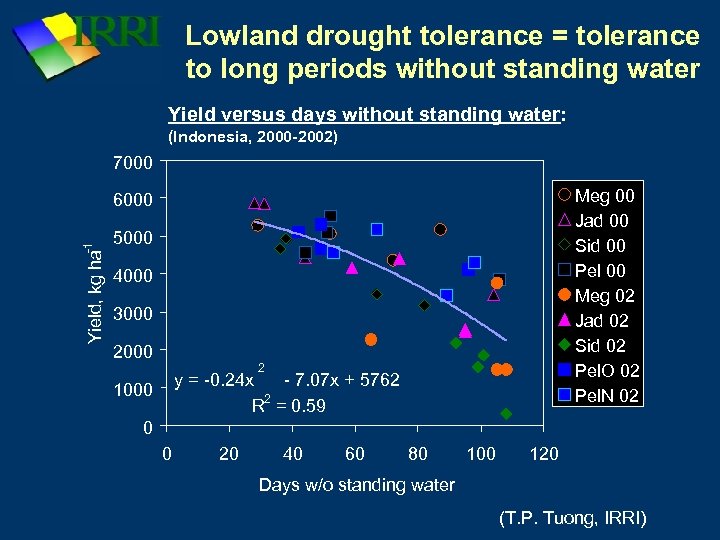 Lowland drought tolerance = tolerance to long periods without standing water Yield versus days