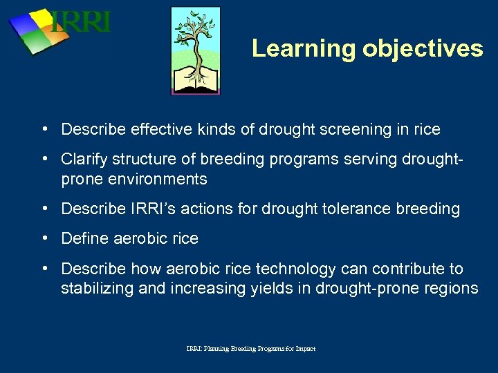 Learning objectives • Describe effective kinds of drought screening in rice • Clarify structure