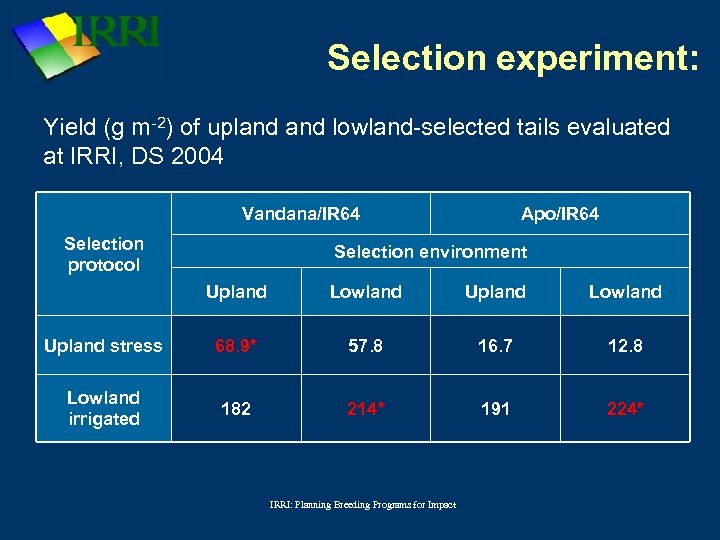 Selection experiment: Yield (g m-2) of upland lowland-selected tails evaluated at IRRI, DS 2004