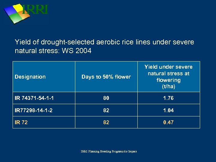 Yield of drought-selected aerobic rice lines under severe natural stress: WS 2004 Days to