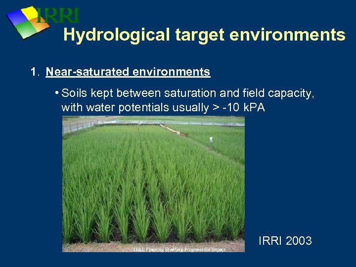 Hydrological target environments 1. Near-saturated environments • Soils kept between saturation and field capacity,