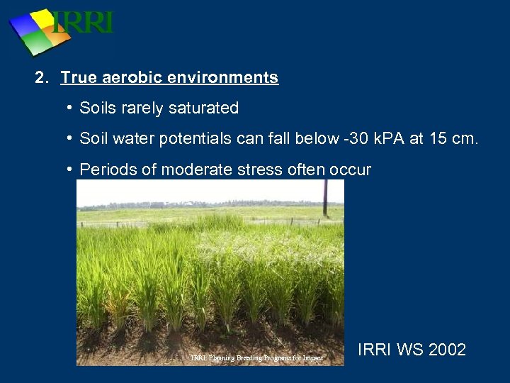 2. True aerobic environments • Soils rarely saturated • Soil water potentials can fall