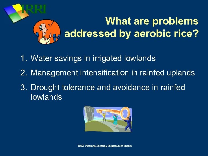 What are problems addressed by aerobic rice? 1. Water savings in irrigated lowlands 2.