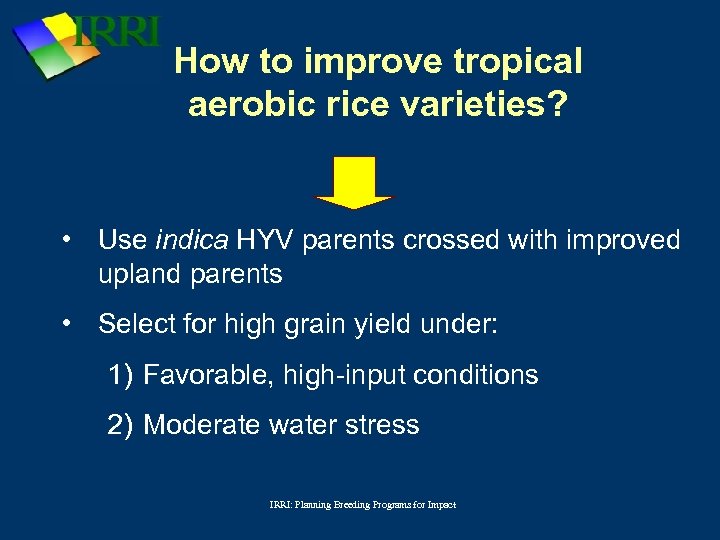 How to improve tropical aerobic rice varieties? • Use indica HYV parents crossed with