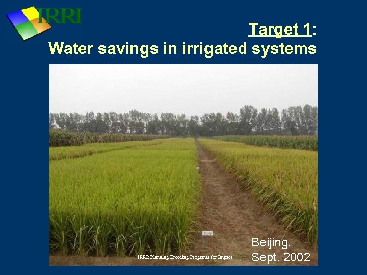 Target 1: Water savings in irrigated systems IRRI: Planning Breeding Programs for Impact Beijing,