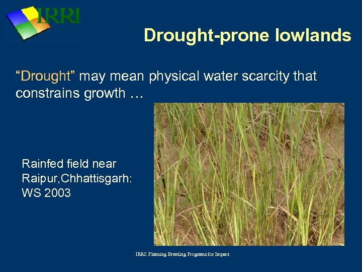 Drought-prone lowlands “Drought” may mean physical water scarcity that constrains growth … Rainfed field