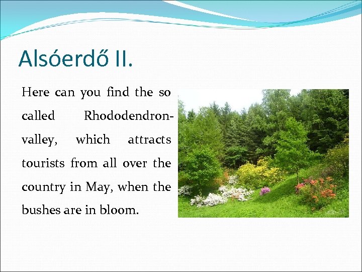 Alsóerdő II. Here can you find the so called valley, Rhododendronwhich attracts tourists from