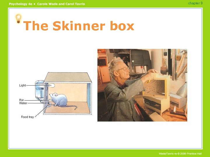 chapter 9 The Skinner box 