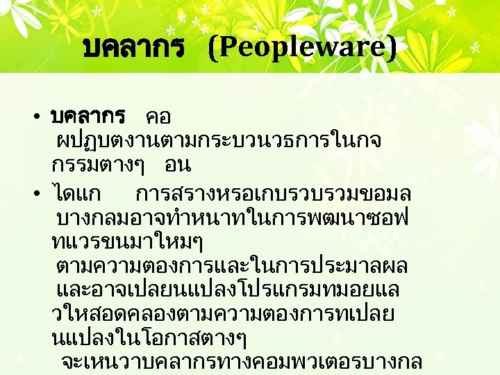 บคลากร (Peopleware) • บคลากร คอ ผปฏบตงานตามกระบวนวธการในกจ กรรมตางๆ อน • ไดแก การสรางหรอเกบรวบรวมขอมล บางกลมอาจทำหนาทในการพฒนาซอฟ ทแวรขนมาใหมๆ ตามความตองการและในการประมาลผล