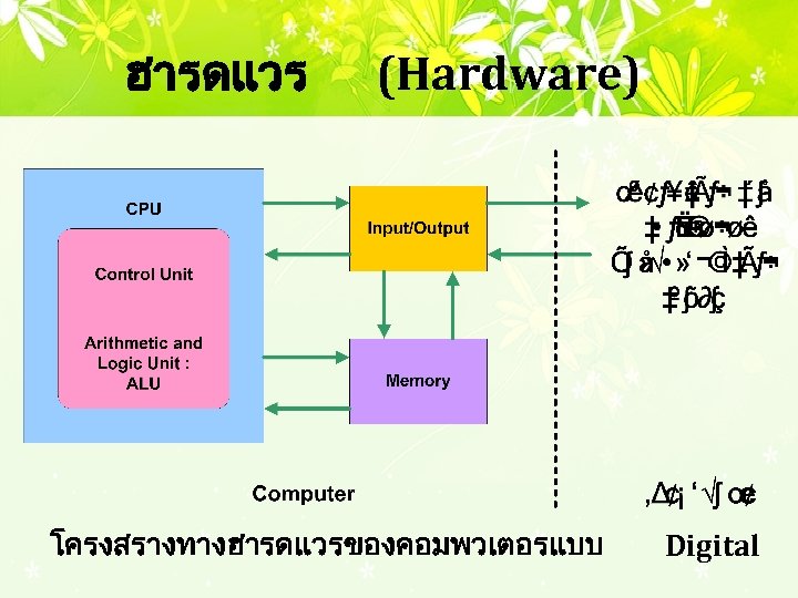 ฮารดแวร (Hardware) โครงสรางทางฮารดแวรของคอมพวเตอรแบบ Digital 