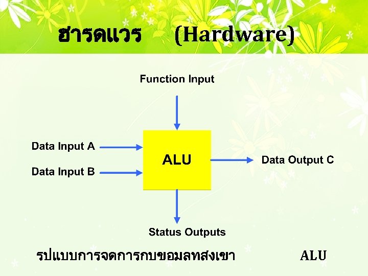 ฮารดแวร (Hardware) รปแบบการจดการกบขอมลทสงเขา ALU 