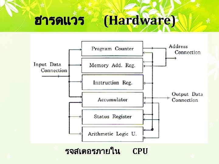 ฮารดแวร (Hardware) รจสเตอรภายใน CPU 