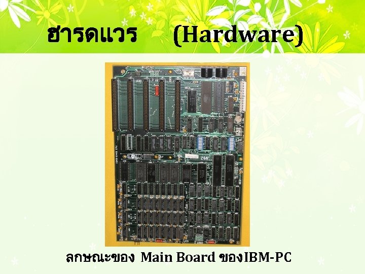 ฮารดแวร (Hardware) ลกษณะของ Main Board ของ IBM-PC 